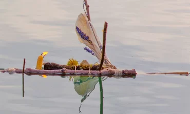 Gregorčki z Rafaelom Košcem Tekavcem