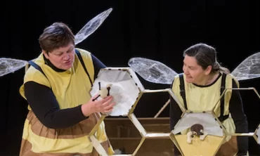 Vznemirljivo življenje čebel