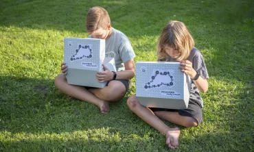 Spletne fletne delavnice