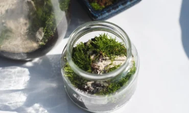 Dan Zemlje in reciklaža pohištva z Larinim centrom za ustvarjanje, umetnost in rast